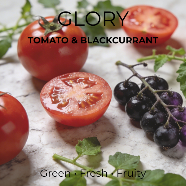 GLORY — Blackcurrant & Tomato | Paint Tin Candle