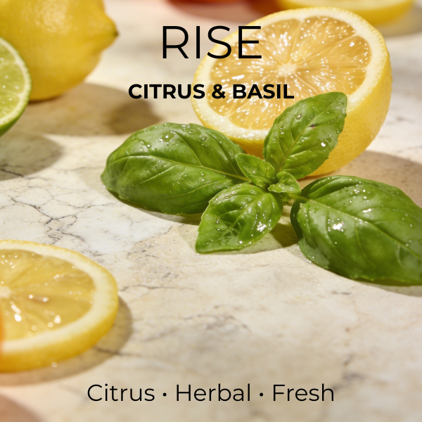 RISE - Citrus & Basil | Wax Melts